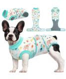 Kuoser Dog Post-Op Recovery Suit for Male Dogs - Breathable & Leakproof - Anti-Lick Body - XS Green (1 Pack) - Buy Online on GoSupps.com
