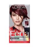 L'Oreal Paris Feria Rich Mahogany Hair Color #41 | Multi-Faceted Shimmering Highlights | 1 Application - Shop Now - Buy Online on GoSupps.com