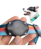 TagVault Pet: The Original AirTag Waterproof Dog Collar Mount, Ultra-Durable, Fits All Width Collars | ElevationLab Single - Buy Online on GoSupps.com