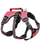 Heele Reflective Dog Crockery & Harness - Durable Comfortable Fit Panic-Resistant Red - Buy Online on GoSupps.com