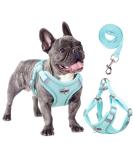 Rennaio No-Pull Dog Harness & Leash Set - Adjustable Ultra-Breathable Padded Chest Harness for Small & Medium Dogs - Cyan XL - Buy Online on GoSupps.com