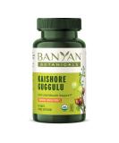 Banyan Botanicals Kaishore Guggulu - Organic Joint Support Supplement | Non-GMO Vegan | 90 Tablets for Healthy Joints & Muscles | Sustainably Sourced - Buy Online on GoSupps.com