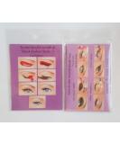 Quick Make-Up Stencils Set | 3 Easy Application Tools for Flawless Looks - Shop Internationally - Buy Online on GoSupps.com