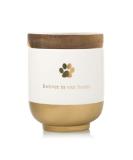 Pearhead Pet Ceramic Forever in Our Hearts Urn Gold - Memorial Pet Urn - Buy Online on GoSupps.com