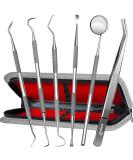 Premium Dental Care Instrument Set - 6 Stainless Steel Tools for Plaque & Tartar Removal - Ideal for Adults Children & Pets - Includes Case - Buy Online on GoSupps.com