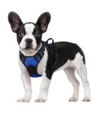 Rabbitgoo No-Pull Dog Harness for Medium Dogs - Adjustable & Breathable with Reflex Stripes - Safe Control Guidance - 1 Pack Blue - Buy Online on GoSupps.com