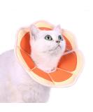 Supet Rewriter Cat Adjustable Hen Collar - Post-Surgery Recovery Cone (Grapefruit) | Comfortable Healing Solution for Cats (Neck: 14-23cm) - Buy Online on GoSupps.com
