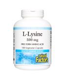 Natural Factors L-Lysine 500 mg 180 Vegetarian Capsules - Buy Online on GoSupps.com