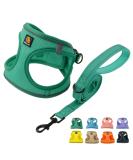 Buy Bella & Pal Dog Harness for Small Dogs - Reflective Breathable and Comfortable | Includes Leash & Step-In Dishes | Perfect for Puppies and Cats - Emerald (42-50cm) - Buy Online on GoSupps.com
