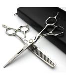 Japan 440C Hairdressing Scissors Set - Professional 6 Inch Barber Toolset (2 Pieces) for Salon Styling - Buy Online on GoSupps.com