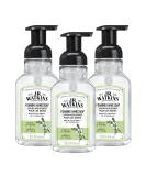 J.R. Watkins Neroli & Thyme Foaming Hand Soap 9 fl oz (Pack of 3) | Moisturizing, Alcohol-Free, All Natural | Made in USA | Cruelty-Free - Buy Online on GoSupps.com