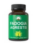 Fadogia Agrestis Ultra High Strength 10:1 Extract - Vegan Capsules for Energy & Athletic Performance | USA Tested Supplement - Buy Online on GoSupps.com
