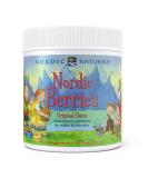 Nordic Naturals Multivitamin Gummies - Original Flavor, 120 Count | Nordic Berries - Buy Online on GoSupps.com