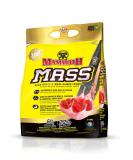 Inter-Active Nutrition Mammoth Mass Supplement 2.27kg Strawberry - Buy Online on GoSupps.com