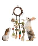 ERKOON Rabbit Hamster Toys Cage Hanging Chew Toys Natural Applewood Bunny Boredom Breaker Treats Rattan Ring with Snacks Grass Ball Hanging Toy Carrot for Rabbits Chinchillas Hamsters Guinea Pig - Buy Online on GoSupps.com