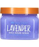 Tree Hut Lavender Shea Sugar Scrub 18 Oz - Exfoliating Body Scrub with Certified Shea Butter and Lavender Oil - Soft & Smooth Skin - 1.12 Pound - Buy Online on GoSupps.com