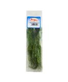 Buy Larva Lace Angel Hair Black Olive Premium Quality International Shipping - Buy Online on GoSupps.com