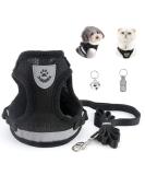 Buy Bojly Cat Dishes with Leash | Outbreak-Proof Safety Harness & Anti-Lost Bell for Dogs & Cats - Buy Online on GoSupps.com