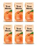True Mints Set of 6 - Peach Vegetable & Sugar-Free Pastilles | 78g | International Shipping - Buy Online on GoSupps.com