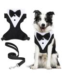 Dog Smoking Bandana Collar & Leash - Adjustable Tuxedo Headscarf for Small to Medium Dogs | Formal Wedding Party Attire - Buy Online on GoSupps.com