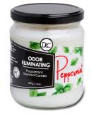 Peppermint Odor Eliminating Highly Fragranced Candle - Eliminates 95% of Pet, Smoke, Food, and Other Smells Quickly - Up to 80 Hour Burn time - 12 Ounce Premium Soy Blend White - Buy Online on GoSupps.com