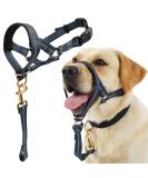 Durable Dog Head Necklace & Handlebars - No Pulling Soft Upholstery Free Training Instructions - Medium Slate Gray - Buy Online on GoSupps.com