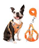 Rennaio No Pull Dog Harness & Leash Set - Adjustable Breathable Padded for Small & Medium Dogs - Pumpkin Color (M) - Buy Online on GoSupps.com