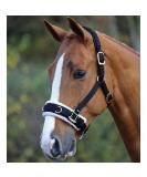 White Horse Equestrian Training Fleece Lined Padded Adjustable Lunging Cavesson - Buy Online on GoSupps.com