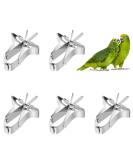 Parrots Fruit & Vegetable Feeder Clip - 5-Pack Metal Bird Cage Accessories for Sittiche & Nymphensittiche - Buy Online on GoSupps.com