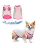 Jodsen Dog Cooling Vest Dog Cooling Jacket Breathable Mesh Ice Vest for Dog Puppy Summer Breathable Clothing with Reflective Strip Lightweight Dog Ice-cooling T-Shirt for Small Medium Dog (Pink 2XL) 2XL Pink - Buy Online on GoSupps.com