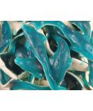 Giant Dolphins 500g Share Bag by The Gourmet Sweet Company - Buy Online on GoSupps.com