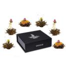 Creano tea flower mix 6 blooming tea "Black tea" in a noble magnetic box with silver embossing Black tea 6 pieces (1 pack) - Buy Online on GoSupps.com