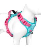 Phoepet No Pull Dog Harness - Reflective Vest with Soft Training Handle for All Dog Sizes - Mint Green & Pink XL - Buy Online on GoSupps.com