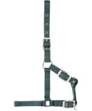 USG Fully Adjustable Foal Green - Buy Online on GoSupps.com