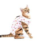 Selmai Medical Pet Shirt - Soft Cotton E-collar Alternative for Dogs & Cats | Wound Protection & Nursing Clothing | Prevent Licking & Skin Diseases - Size L Red Strawberry - Buy Online on GoSupps.com