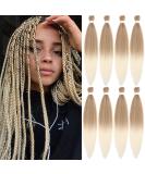 Leeven 8 Packs Pre Stretched Braiding Hair 26 Inch Yaki Texture Ombre Brading Hair Extensions for Box Braids Kanekalon Hair Fiber Crochet Hair Extensions for Braiding /26 Inch 27613# 26 Inch (Pack of 8) 27613# - Buy Online on GoSupps.com