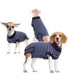 Buy Hjumarayan Dog Post-Castration Body - Breathable & Comfortable Medical Bodysuit for Small Medium Large Dogs - Blue Striped Alternative to Traditional Recovery Vests - Buy Online on GoSupps.com