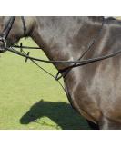 Windsor Leather Standing Martingale in Black or Havana Pony Black - Buy Online on GoSupps.com