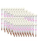 Buy 100pcs Mini Disposable Eyeshadow & Lip Brushes | Portable RoseFlower Makeup Applicators for Perfect Application | No Spilling - Buy Online on GoSupps.com