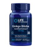 Life Extension Ginkgo Biloba Certified Extract 120 mg 365 Vegetarian Capsules - Buy Online on GoSupps.com