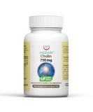 Buy Medar Cholin-L-Bietrate 60 Capsules | 98% Pure Cholin Chloride Vitamin B4 | Natural Support for Liver Function - Buy Online on GoSupps.com