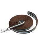 8m Equestrian Lunging Line - Soft Nylon Lunge Rope for Horses with Hand Loop & Carabiner - Durable Brown/Turquoise Tug Line & Reins for Training - Buy Online on GoSupps.com
