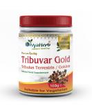 Tribuvar Gold Powder (Gokhru-Gokshura) - Natural Testosterone Booster - Buy Online on GoSupps.com