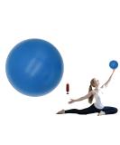 Exercise Ball Small, 6 inch Small Ball for Pilates with Pump, 6 in Barre Ball, 6" Stability Ball Mini Yoga Ball for Women Workout Fitness Physical Therapy PT blue - Buy Online on GoSupps.com