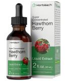 Hawthorn Berry Extract | 2 fl oz | Alcohol Free Hawthorne Liquid Tincture | Vegetarian, Non-GMO, Gluten Free | by Horbaach - Buy Online on GoSupps.com