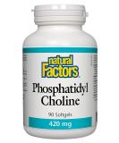 Natural Factors Phosphatidyl Choline 420 mg - 90 Softgels for Brain Health - Buy Online on GoSupps.com