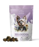 Pfot Buddies Seelenyoga - Soothing Natural Snacks for Dogs with Valerian & Johanniskraut | Stress Relief for Travel & New Year's Eve - Buy Online on GoSupps.com