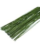 FOIMAS 18 Gauge Floral Stem Wire 100pcs - Paper Wrapped Florist Wire for Arrangements - Buy Online on GoSupps.com
