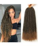 Buy Passion Twist Hair - 18 inch Water Shaft Crochet Hair Extensions (T1B-27# 7 Packs) for Long Bohemian Styles - Buy Online on GoSupps.com