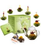 Creano Tea Blum Gift Set - 500ml Glass Jugs 6x Green Tea + Bonus Tealini Black Tea Ball - Perfect Gift for Tea Lovers - Buy Online on GoSupps.com